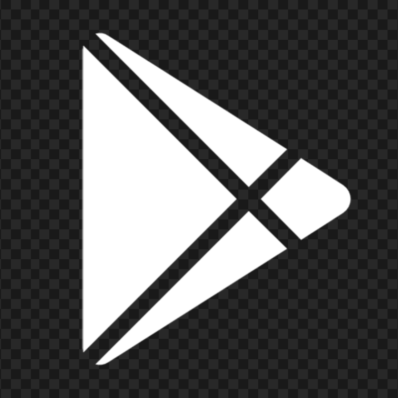 Google Play Store Icon